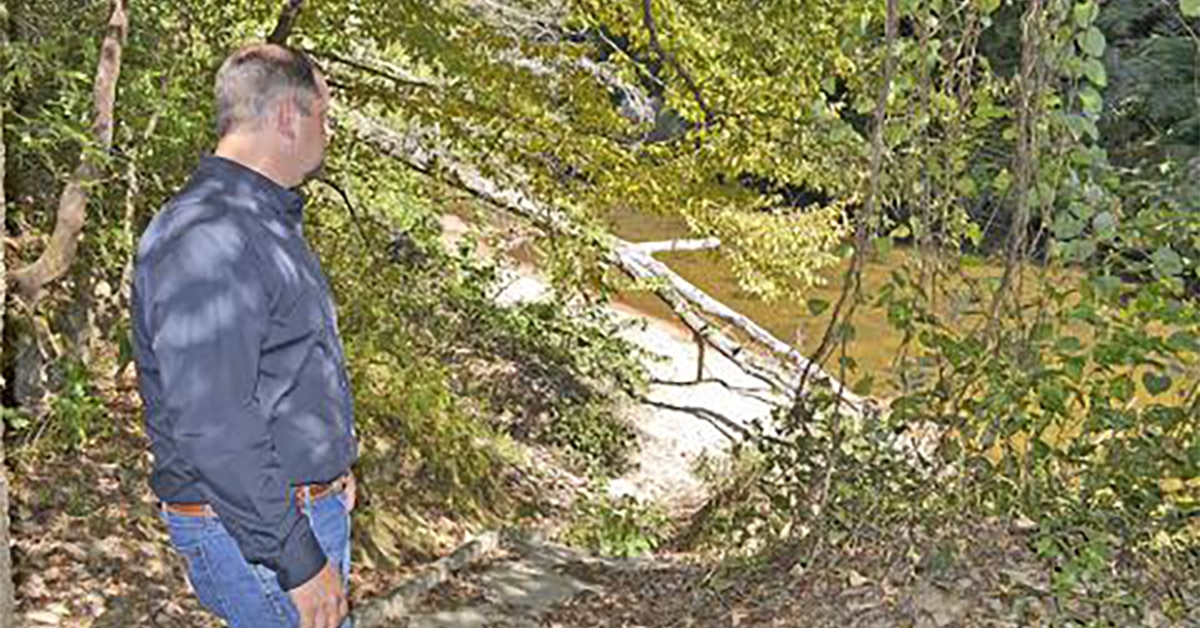 A Man Standing Next To A Tree While Looking At A Creek