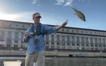 Man Throwing A Fish Back Into The Water