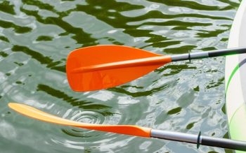 A Small Boat In A Body Of Water
