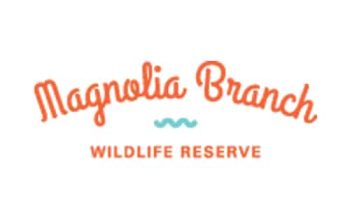 Logo, Company Name