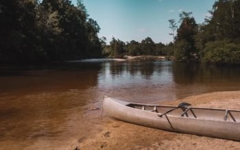 A Canoe Resting Along A Shoreline