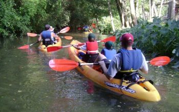 A Group Of Kayakers Paddling Down A Creek