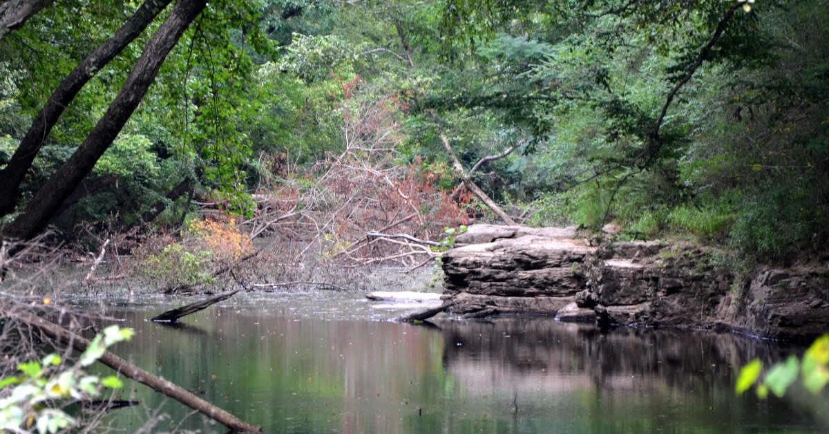 A Body Of Water Surrounded By Trees