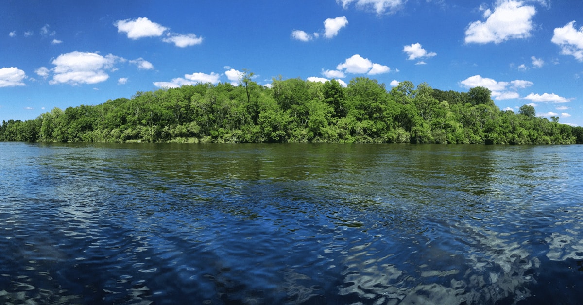 Looking At Trees Across A River