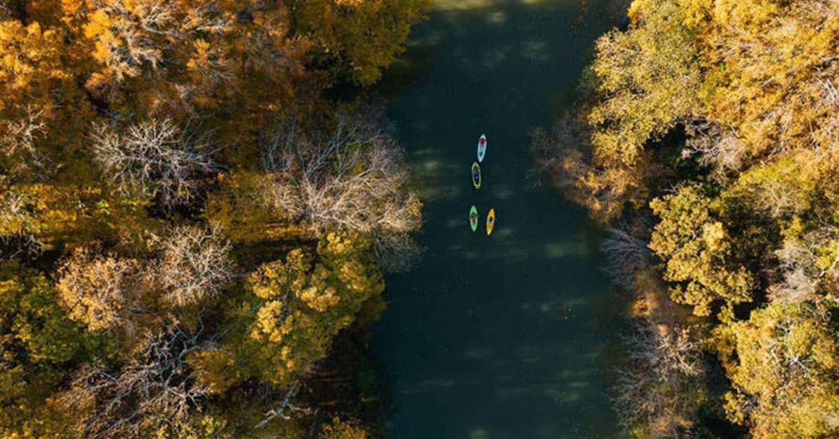 Kayakers Paddling Down A River Running Through A Forest