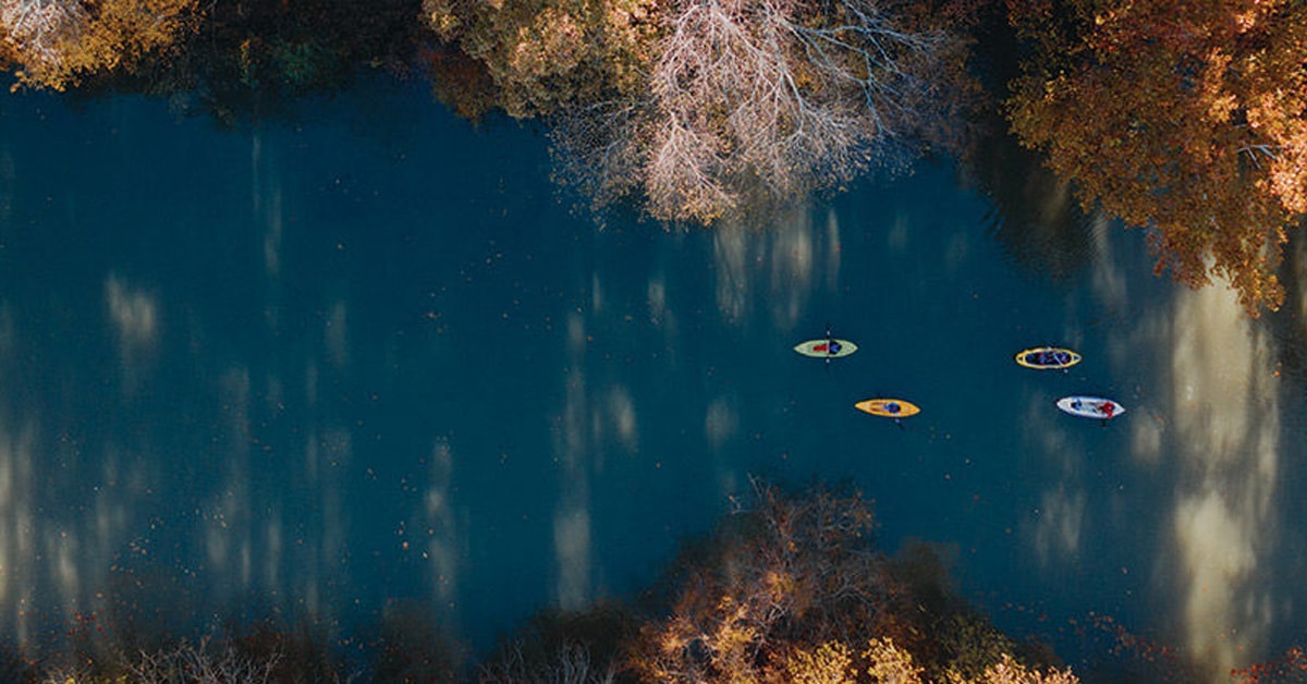 Four Kayakers Paddling Down A River Under Fall Leaves