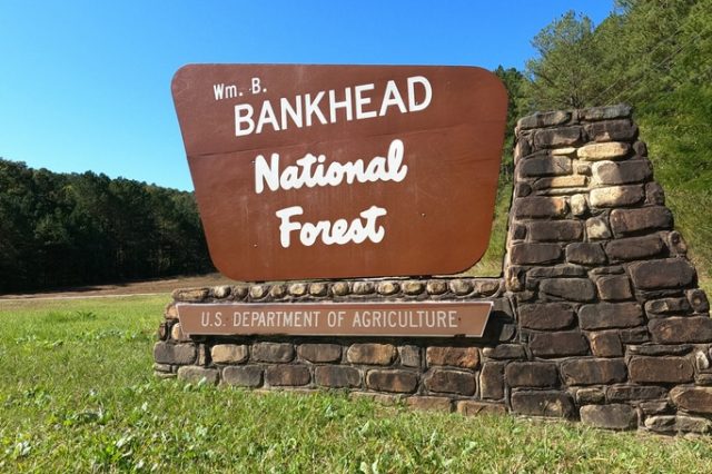 Bankhead National Forest sign
