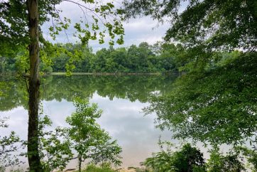 A Lake Surrounded By Trees