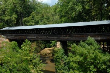 A Bridge Over A River In A Forest