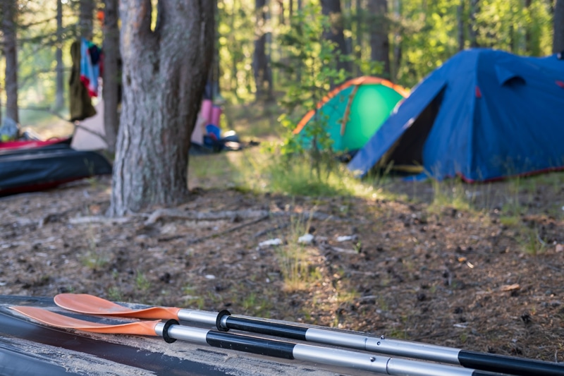 Kayaking paddles resting in a campsite