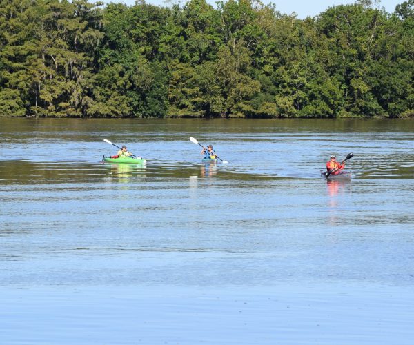 A Group Of People Kayaking In A River