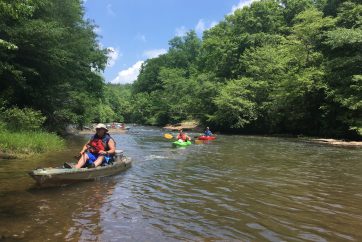 Kayakers pulling up to shore