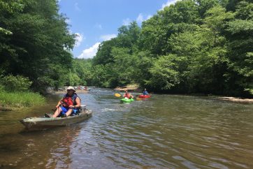 Kayakers Pulling Up To Shore