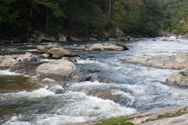 Small Rapids In A River