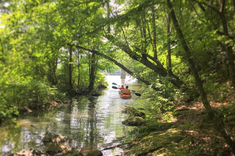 Kayakers paddling down a creek towards a river