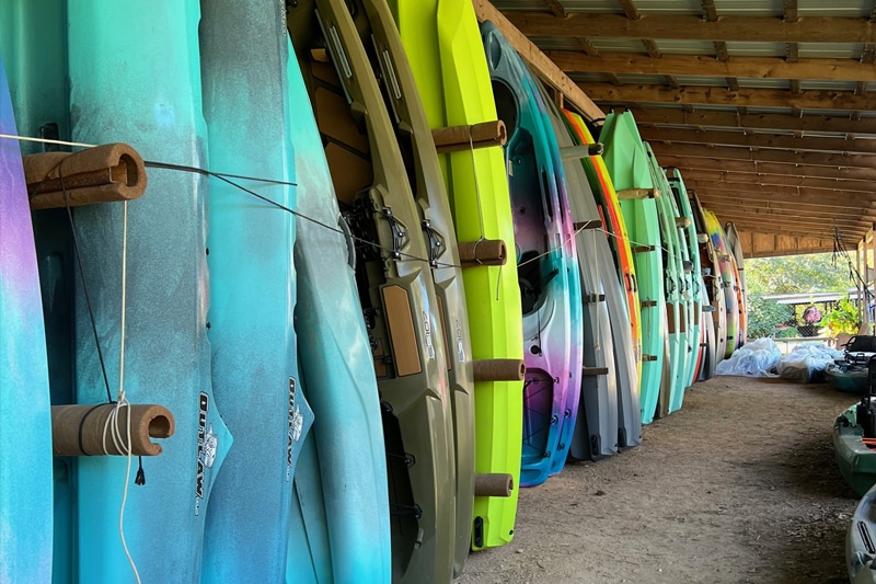 A row of kayaks