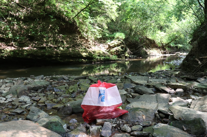 a rocky river with trees in the background