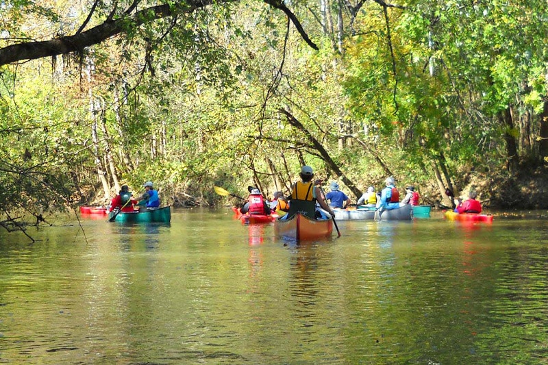 a group of people kayaking under trees on a river