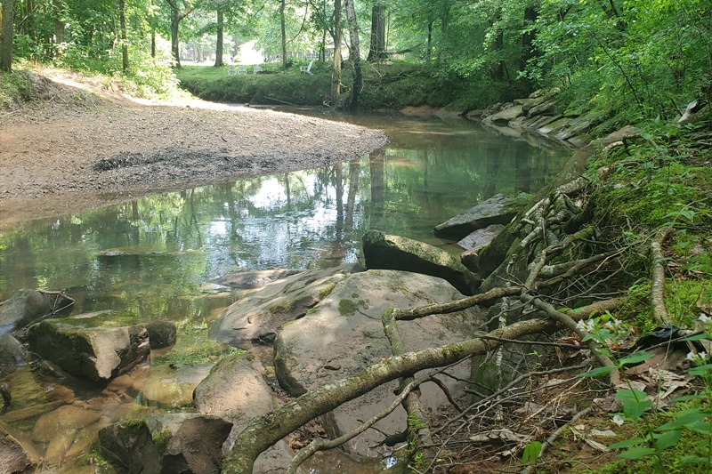 Rocks in a creek