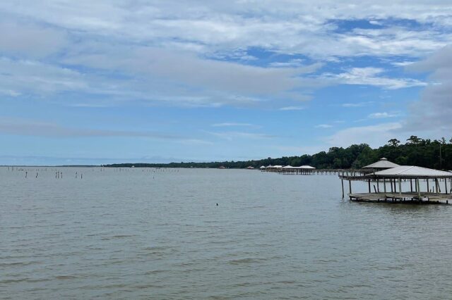 Part of Alabama's coastline
