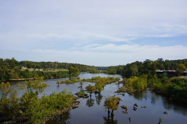 Scenic View Of A River In Alabama