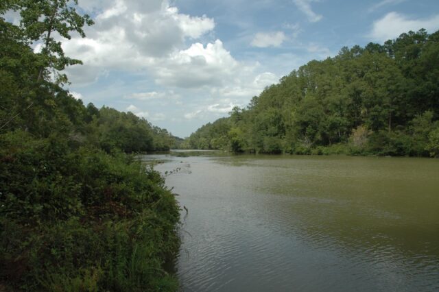 A Large Body Of Water Surrounded By Trees