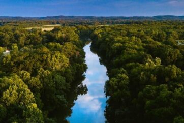 A View Of A Lake Surrounded By Trees