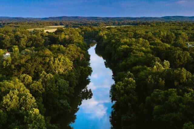 A View Of A Lake Surrounded By Trees