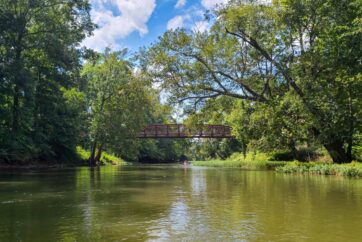 Kayakers paddling under a bridge