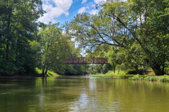 Kayakers Paddling Under A Bridge