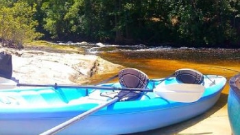 Kayaks parked alongside a river