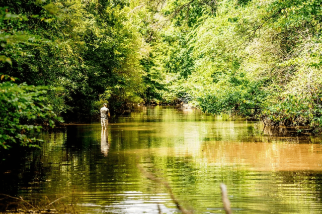Man Fishing In A River