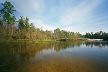 a body of water surrounded by trees