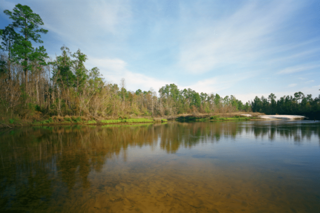 a body of water surrounded by trees