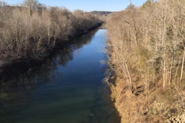 Sipsey Fork River photo from Riverside Fly Shop